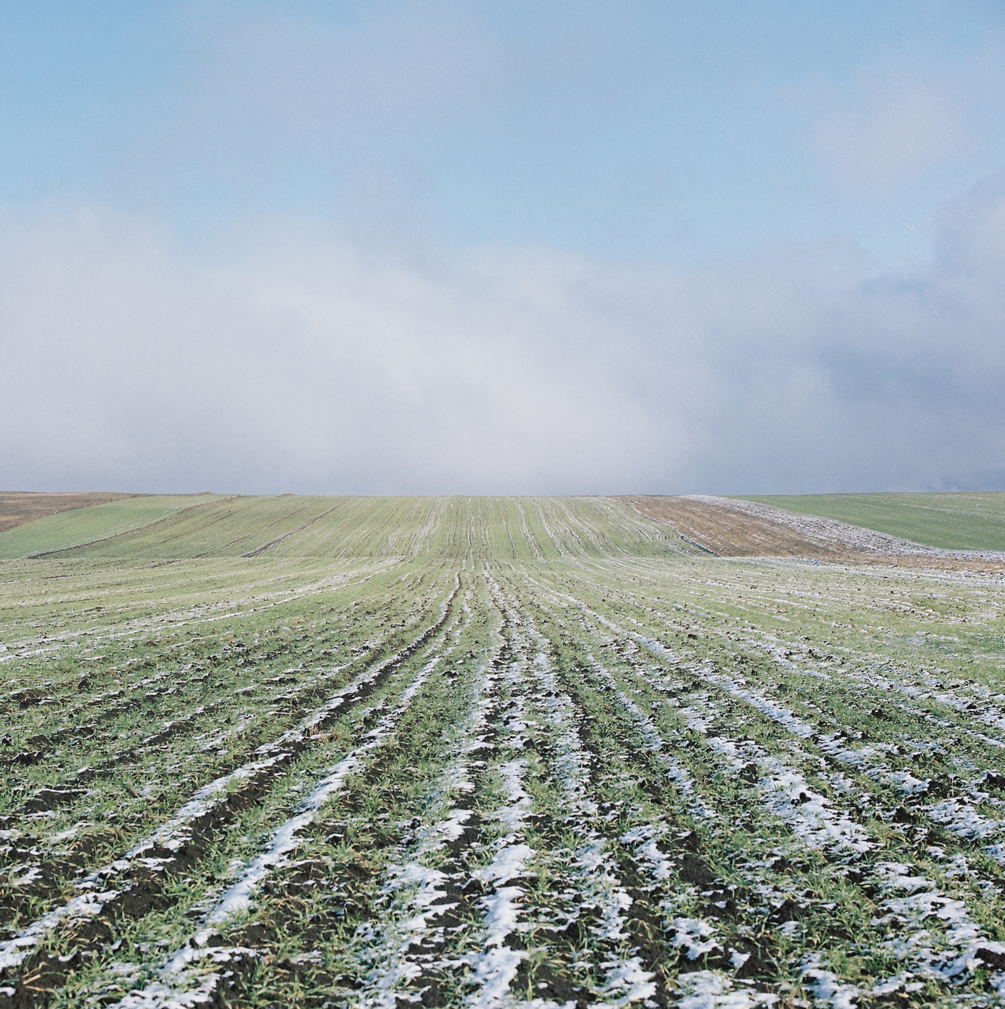 2021-03-06 – Capturing Early Spring: Kakheti Region’s Landscape Beauty, Eastern Georgia / Photo Credits: REC Caucasus | Nata Sopromadze